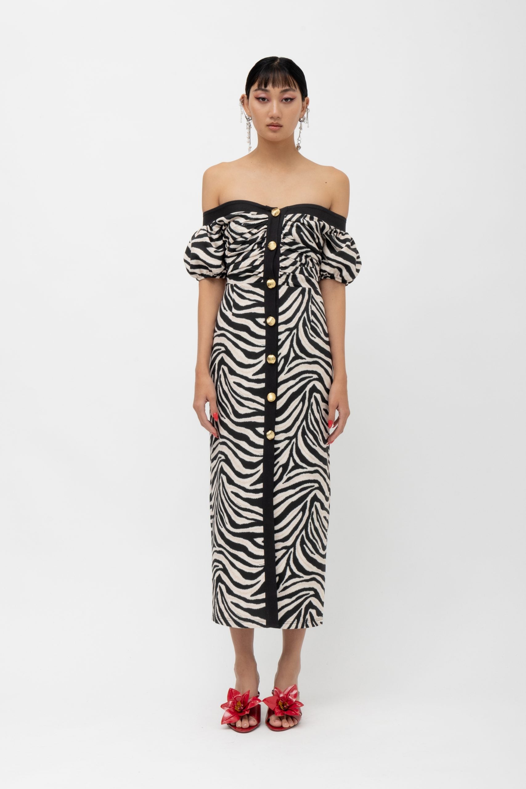 MASAI ZEBRA DRESS