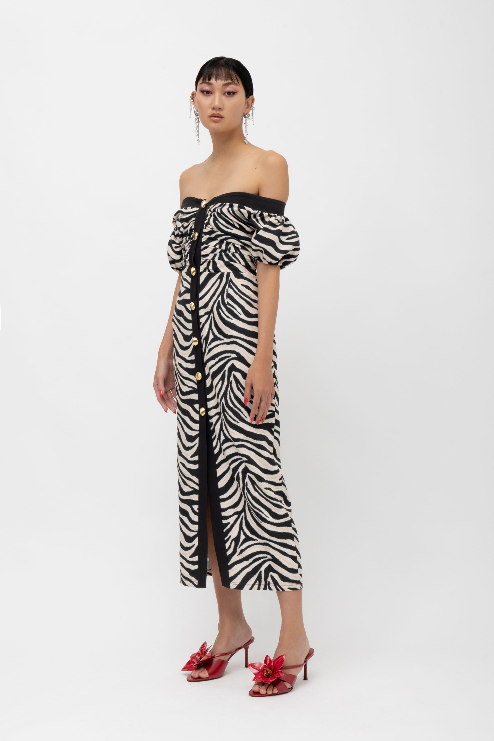 MASAI ZEBRA DRESS